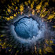 Image for article titled Epic and intimate glimpses of nature from the Sony World Photography Awards